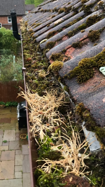 Clogged gutter full of moss and debris before clearing